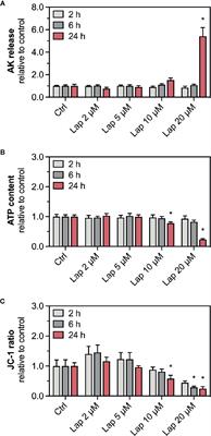 Lapatinib Activates the Kelch-Like ECH-Associated Protein 1-Nuclear Factor Erythroid 2-Related Factor 2 Pathway in HepG2 Cells